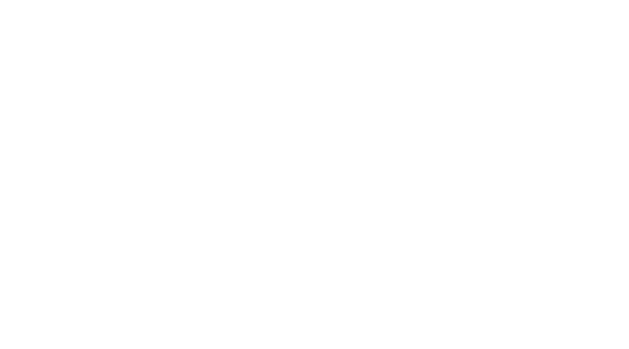 Národní sportovní agentura logo